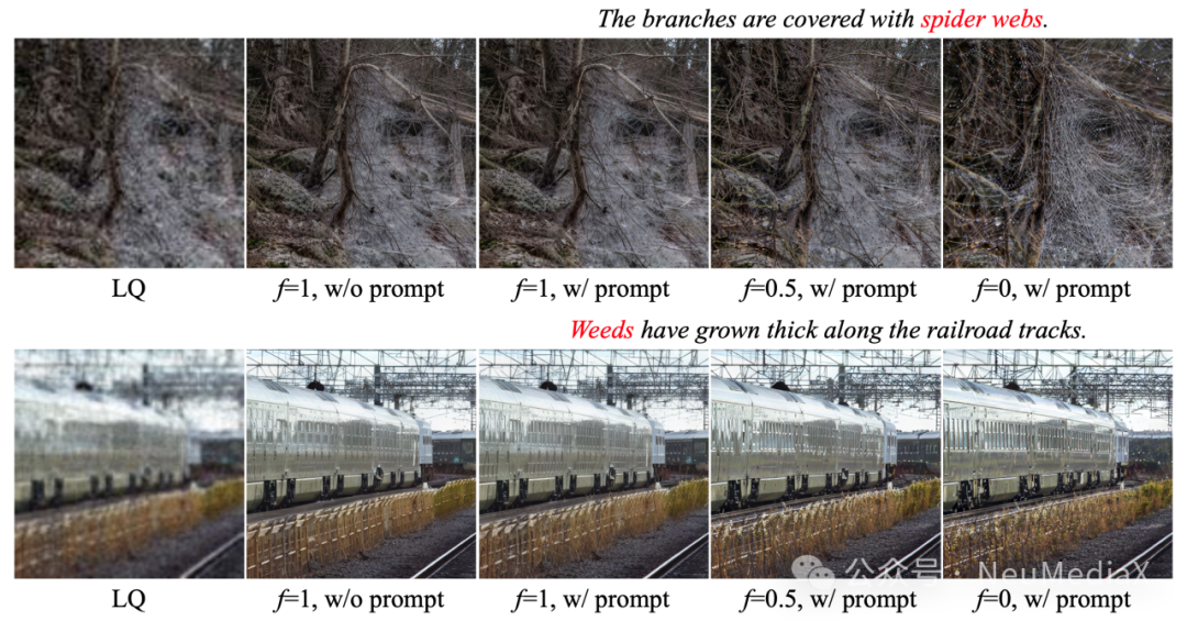 图5：ODTSR的Prompt可控性展示